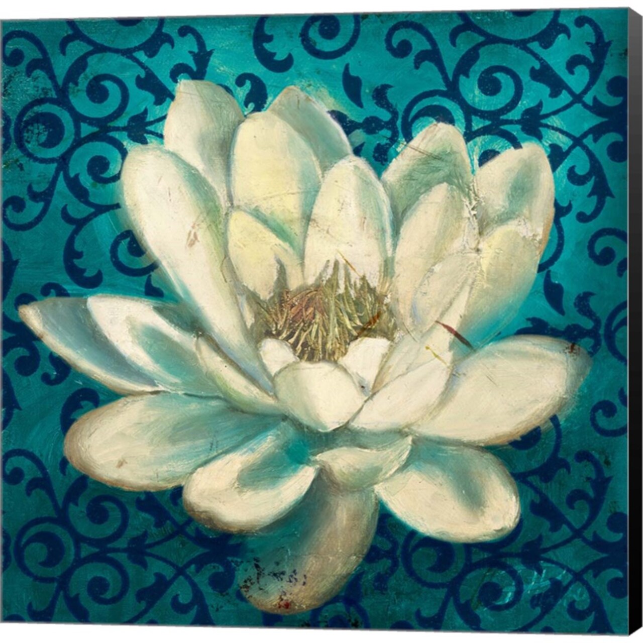 Water Lilly on Teal by Patricia Pinto 24" x 24" Canvas Wall Art